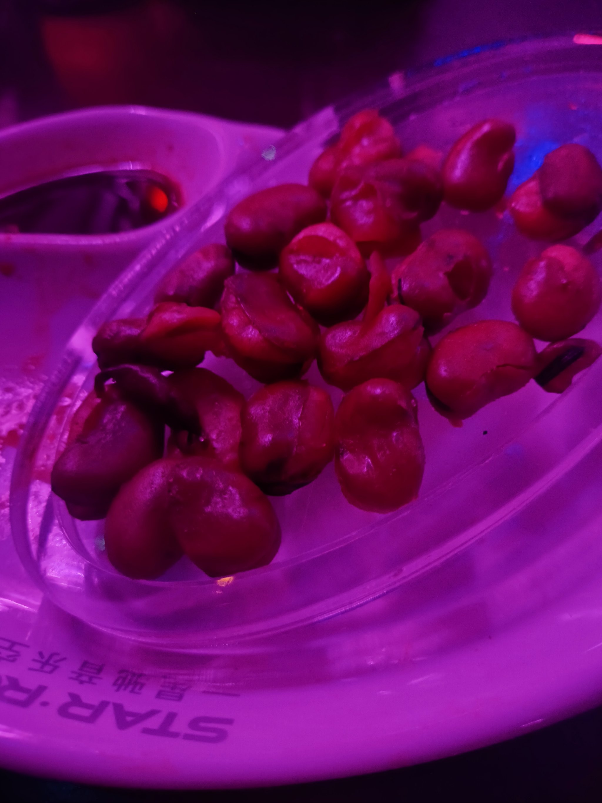 大连商务KTv首选，性价比高-旅顺口区ktv预订